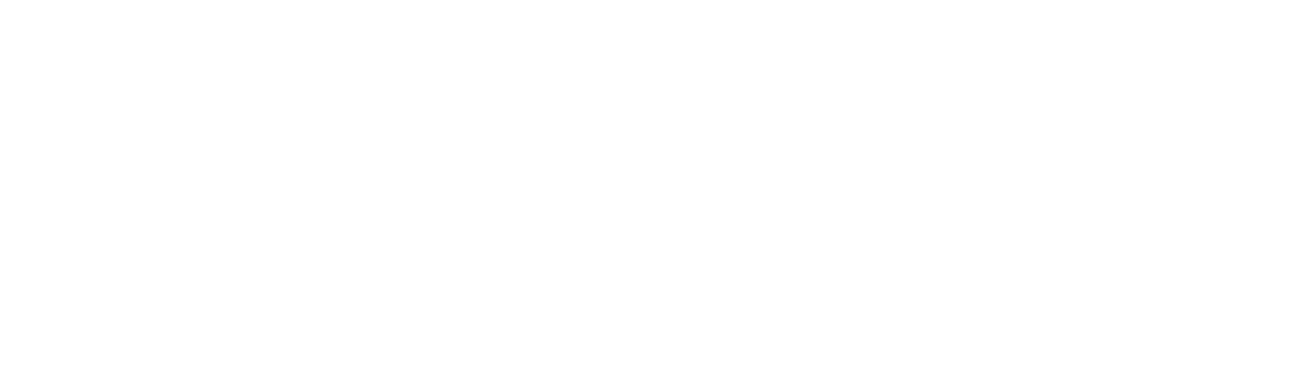 Die Hard Detailing_Horizontal Logo-White